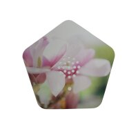 Soundbox Olymp Sounds of Nature Box Natürklänge Entspannung Ruhe Vogelgesang