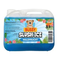Bussy Slush Ice Sirup Waldfrucht 3 Liter Kanister –...